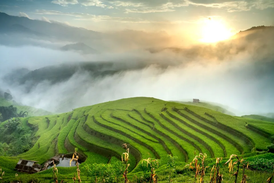 Kho gạo của Trần Văn Luân